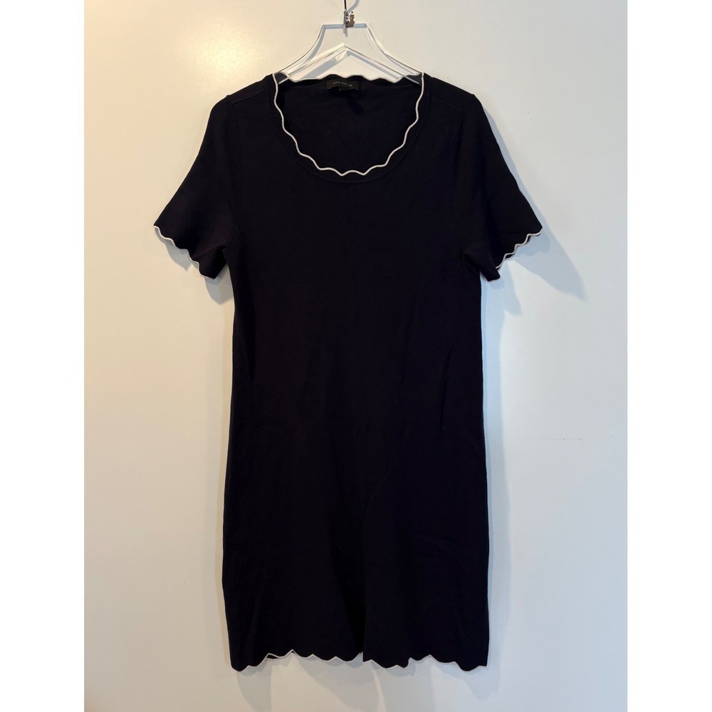 Ann Taylor Navy Blue Scalloped Sweater Dress White Trim Womens‎ Size Large